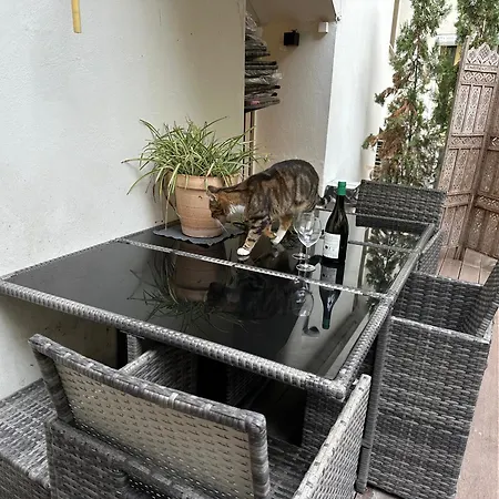 Apartment Promenade Des With Ac Near Negresco *